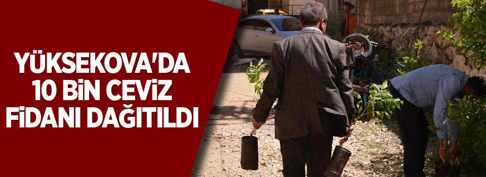 Yüksekova'da 10 bin ceviz fidanı dağıtıldı