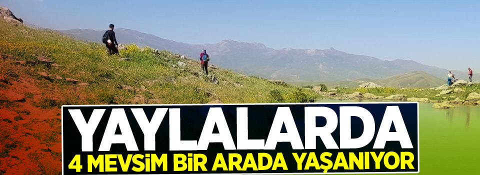 Hakkari'deki yaylalarda 4 mevsim bir arada yaşanıyor