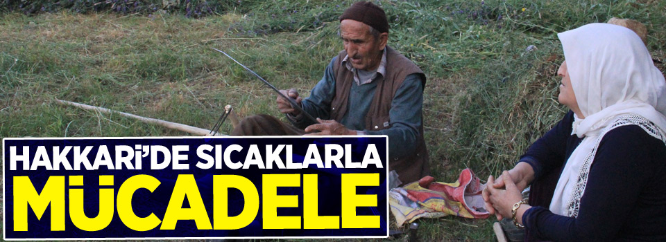 Hakkari’de sıcaklarla mücadele