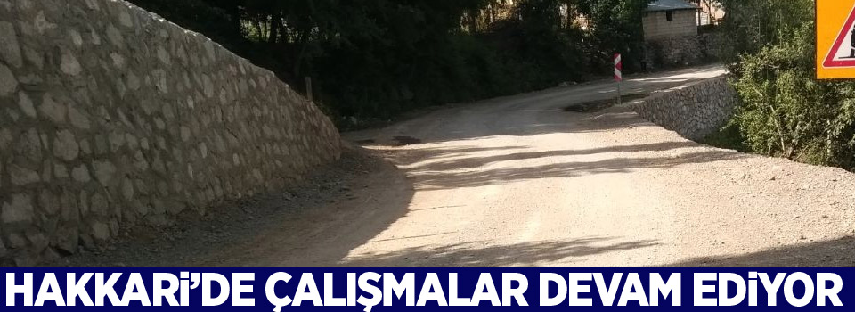 Hakkari’de yol asfaltlama çalışması