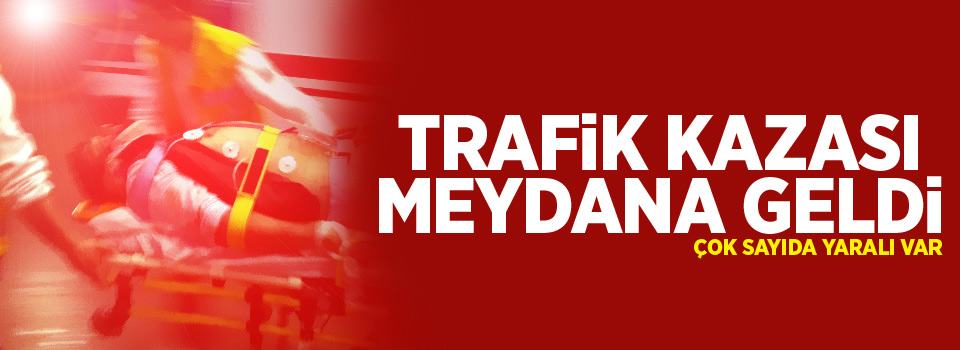 Tarım işçilerini taşıyan minibüs devrildi: 17 yaralı