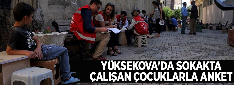 Yüksekova'da sokakta çalışan çocuklarla anket