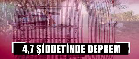 Çin'de 4,7 şiddetinde deprem