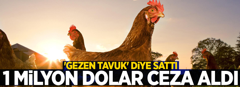 'Gezen tavuk' diye sattı, 1 milyon dolar ceza aldı