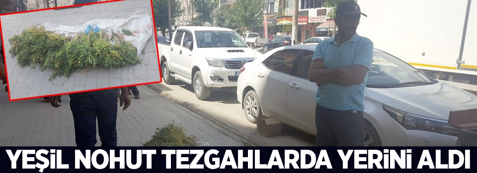 Yeşil Nohut tezgahlarda yerini aldı