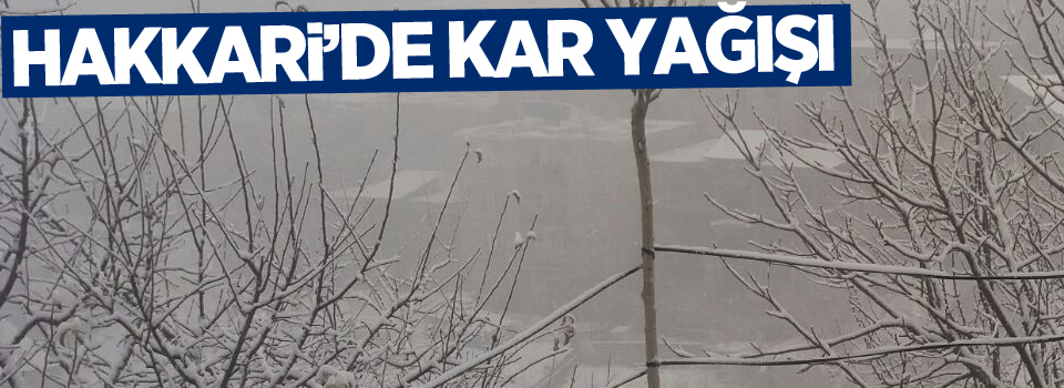 Hakkari’de kar yağışı