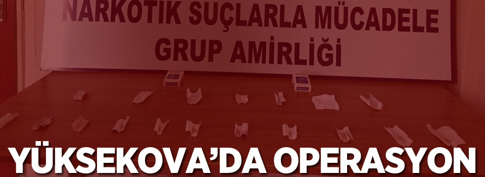 Yüksekova'da operasyon!