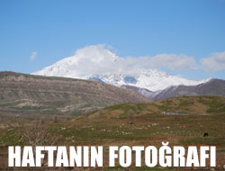 Haftanın Fotoğrafı (5)