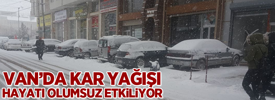 Van'da kar yağışı hayatı olumsuz etkiliyor