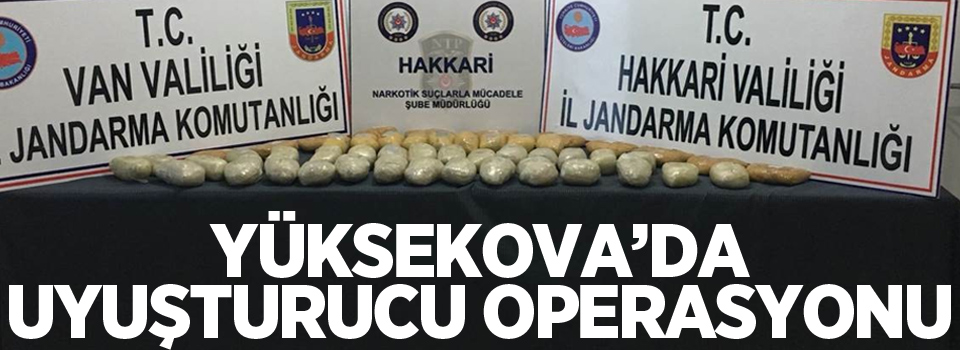 Yüksekova'da uyuşturucu operasyonu