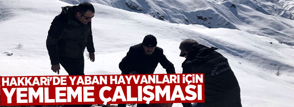 Hakkari'de yaban hayvanları için yemleme çalışması