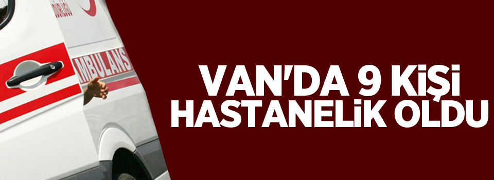 Van'da 9 kişi hastanelik oldu