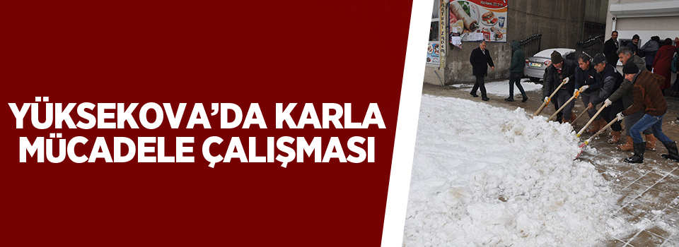 Yüksekova'da Kar Temizleme Çalışması