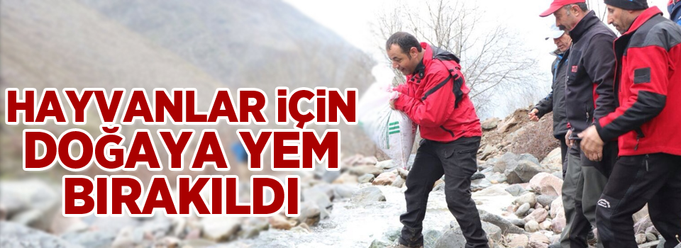 Yaban hayvanları için doğaya yem bırakıldı