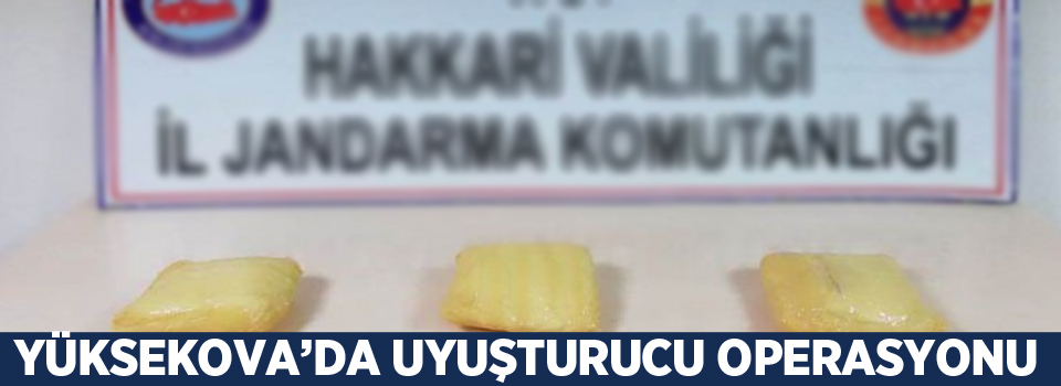 Yüksekova'da uyuşturucu operasyonu