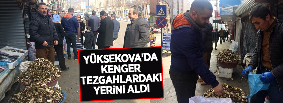 Yüksekova'da kenger tezgahlardaki yerini aldı