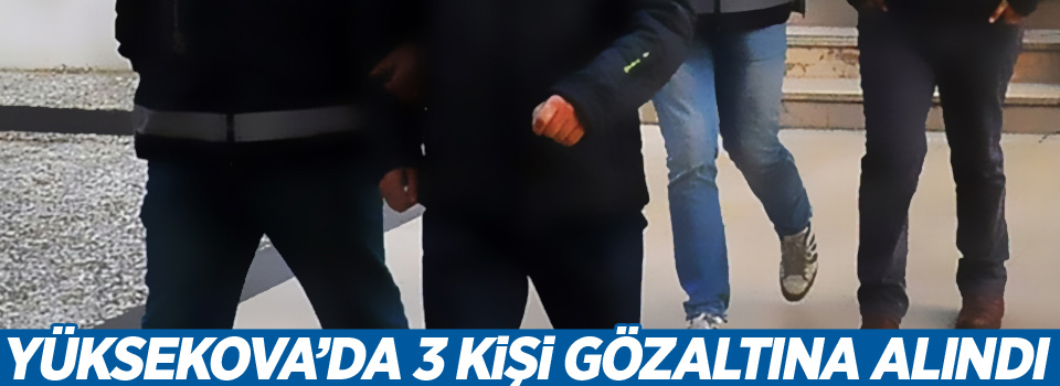 Yüksekova'da 3 kişi gözaltına alındı!