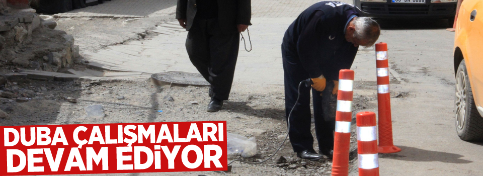 Hakkari’de duba çalışmaları sürüyor