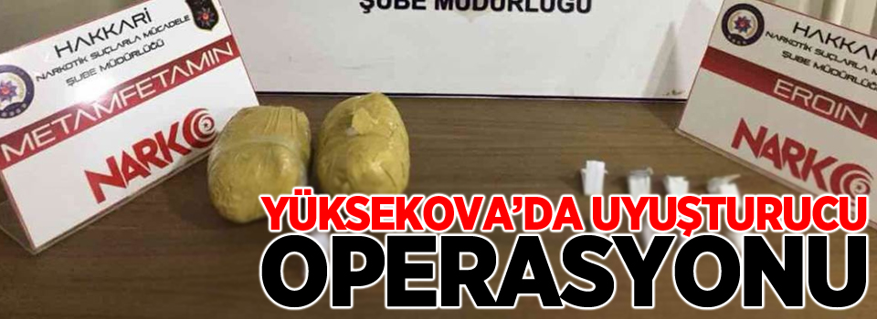 Yüksekova'da uyuşturucu operasyonu