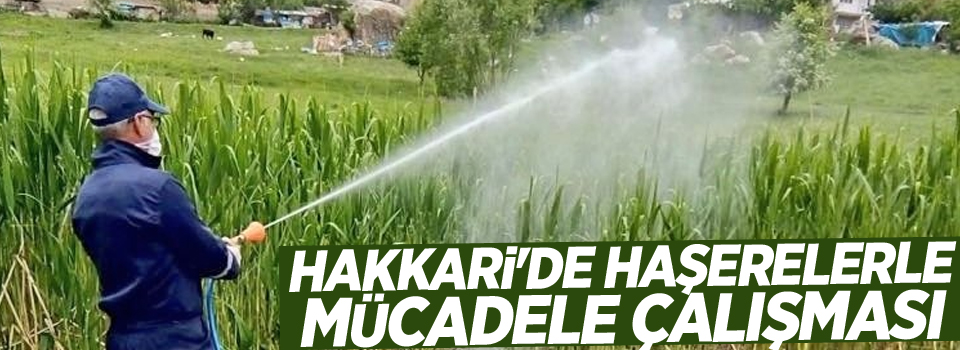 Hakkari'de haşerelerle mücadele çalışması