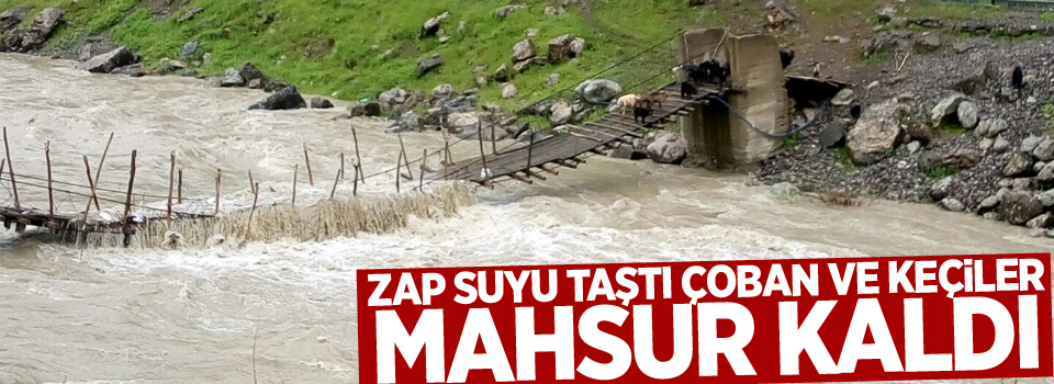 Zap Suyu taştı, çoban ve keçiler mahsur kaldı