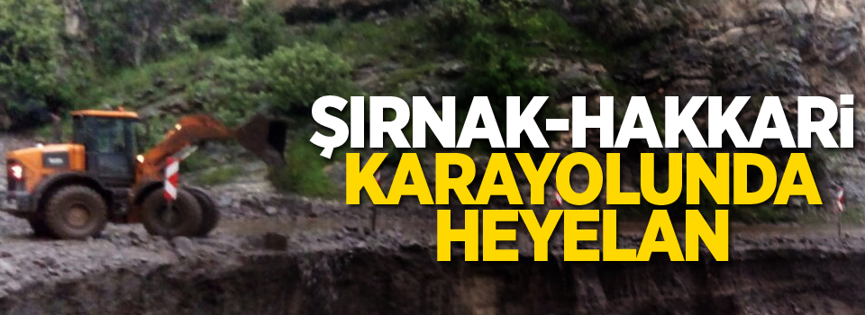 Şırnak-Hakkari karayolunda heyelan