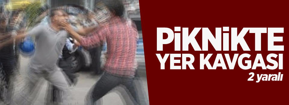 Piknikte yer kavgası: 2 yaralı