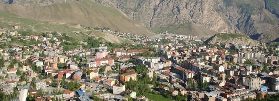 Hakkari'de 131 kişiye bir otomobil düşüyor