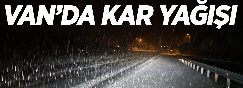 Van'da kar yağışı