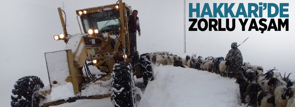 Hakkari'de zorlu yaşam