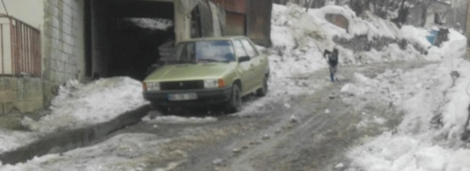 Hakkari’de karla mücadele çalışması