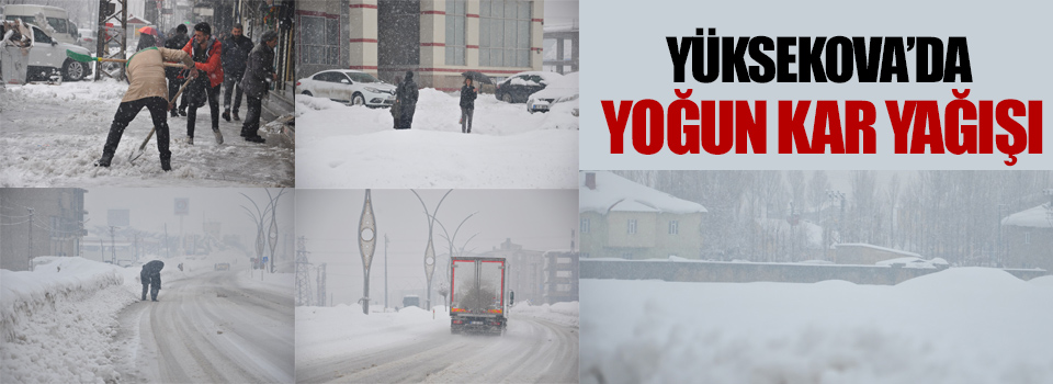 Yüksekova'da Yoğun Kar Yağışı