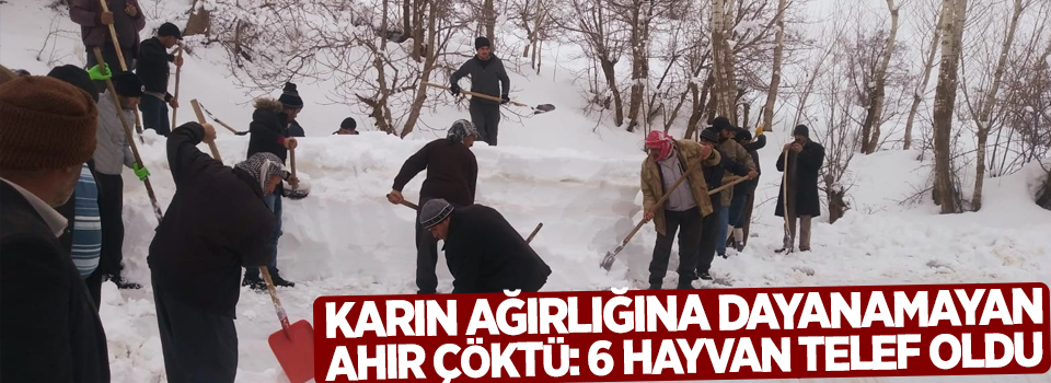 Karın ağırlığına dayanamayan ahır çöktü: 6 hayvan telef oldu