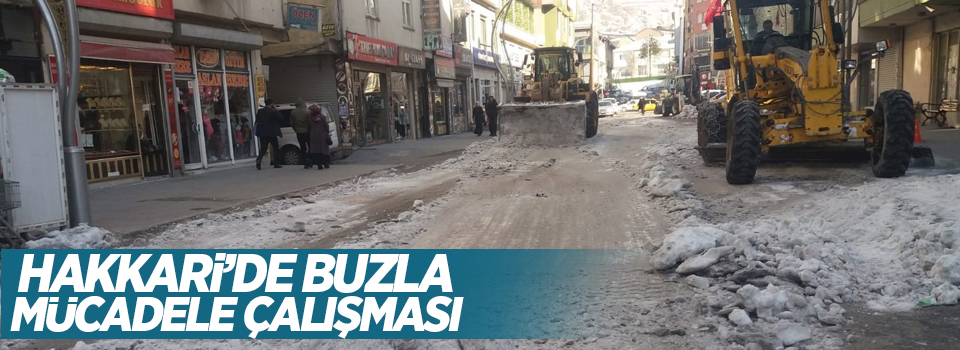 Hakkari’de buzla mücadele çalışması