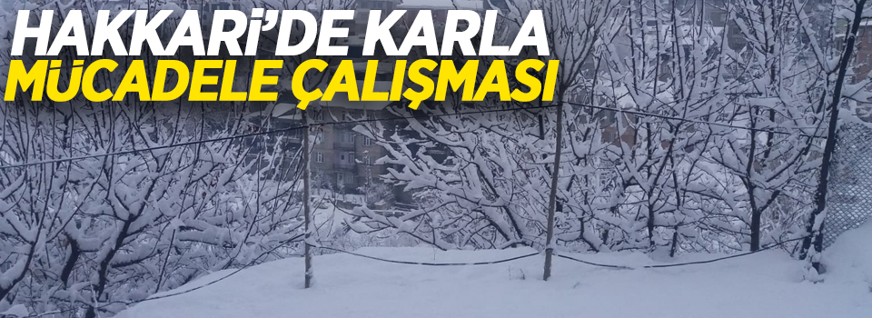 Hakkari’de karla mücadele çalışması