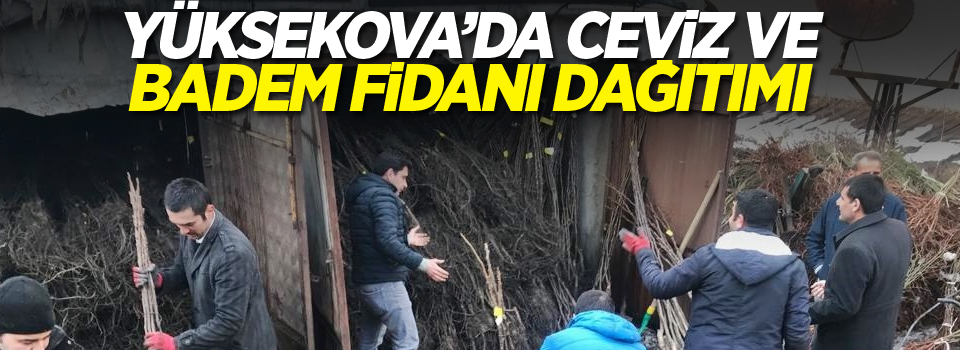 Yüksekova’da ceviz ve badem fidanı dağıtımı