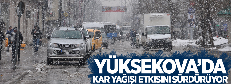 Yüksekova’da kar yağışı