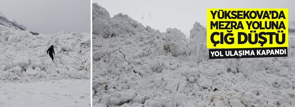 Yüksekova’da mezra yoluna çığ düştü, yol ulaşıma kapandı