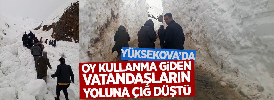 Yüksekova'da oy kullanma giden vatandaşların yoluna çığ düştü