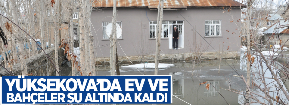 Yüksekova’da ev ve bahçeler su altında kaldı