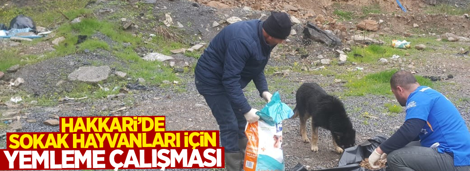 Hakkari’de sokak hayvanları için yemleme çalışması