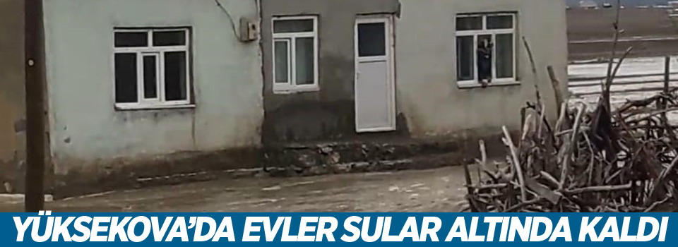 Yüksekova’da dere taştı, evleri su bastı