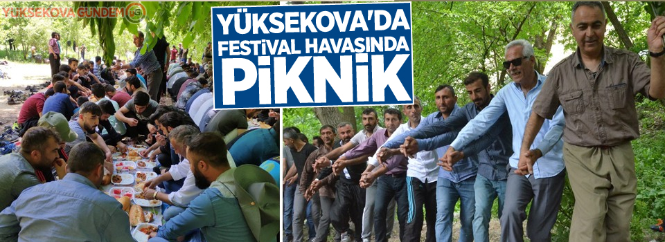 Yüksekova'da festival havasında piknik