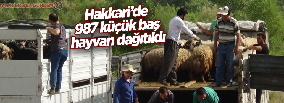 Hakkari’de 987 küçük baş hayvan dağıtıldı