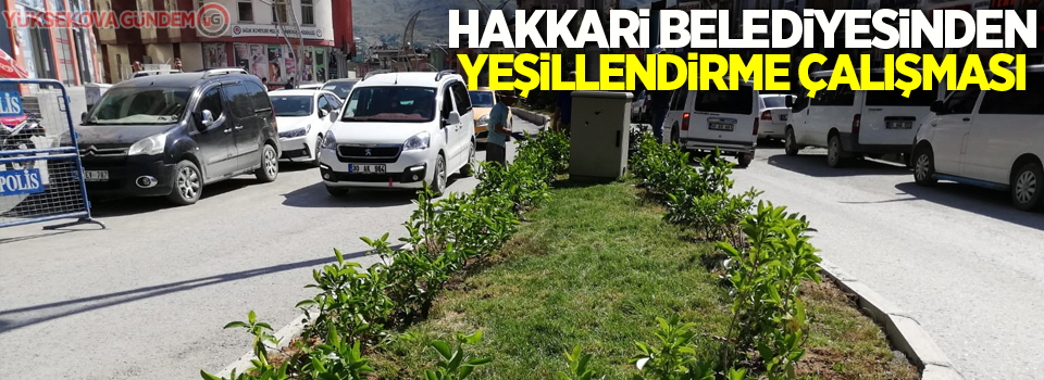 Hakkari Belediyesinden yeşillendirme çalışması