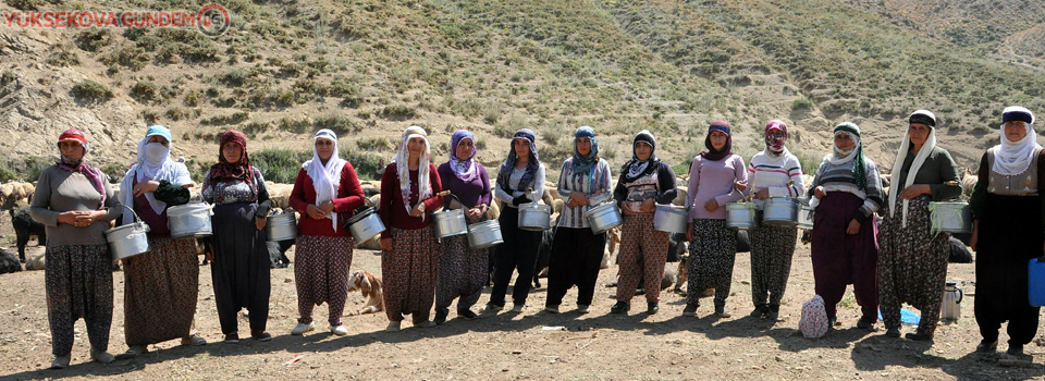 Kavurucu sıcakta süt sağımı