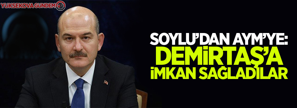 Süleyman Soylu'dan AYM'ye: Demirtaş'a imkan sağladılar