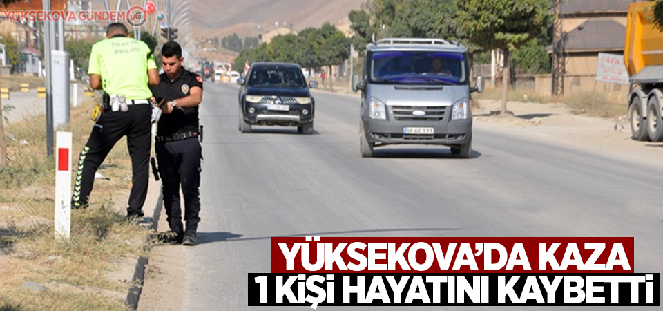 Yüksekova'da kaza: 1 kişi hayatını kaybetti