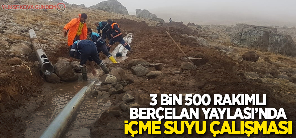 3 bin 500 rakımlı Berçelan Yaylası’nda içme suyu çalışması