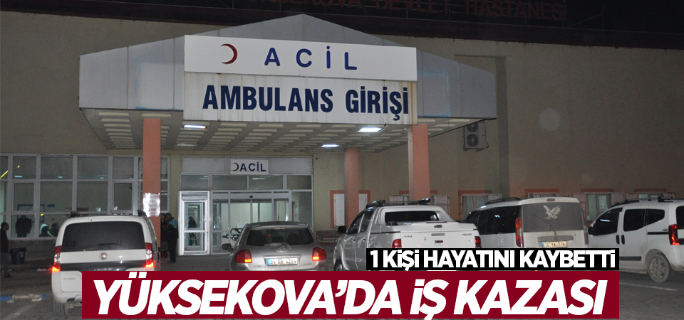 Yüksekova'da iş kazası: 1 ölü